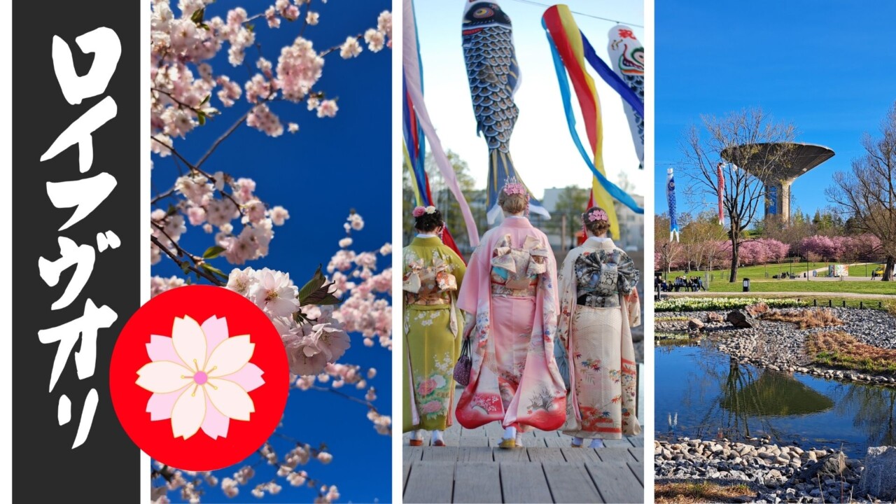 Hanami Roihuvuori- kirsikankukkia ja kimonoasuisia naisia.